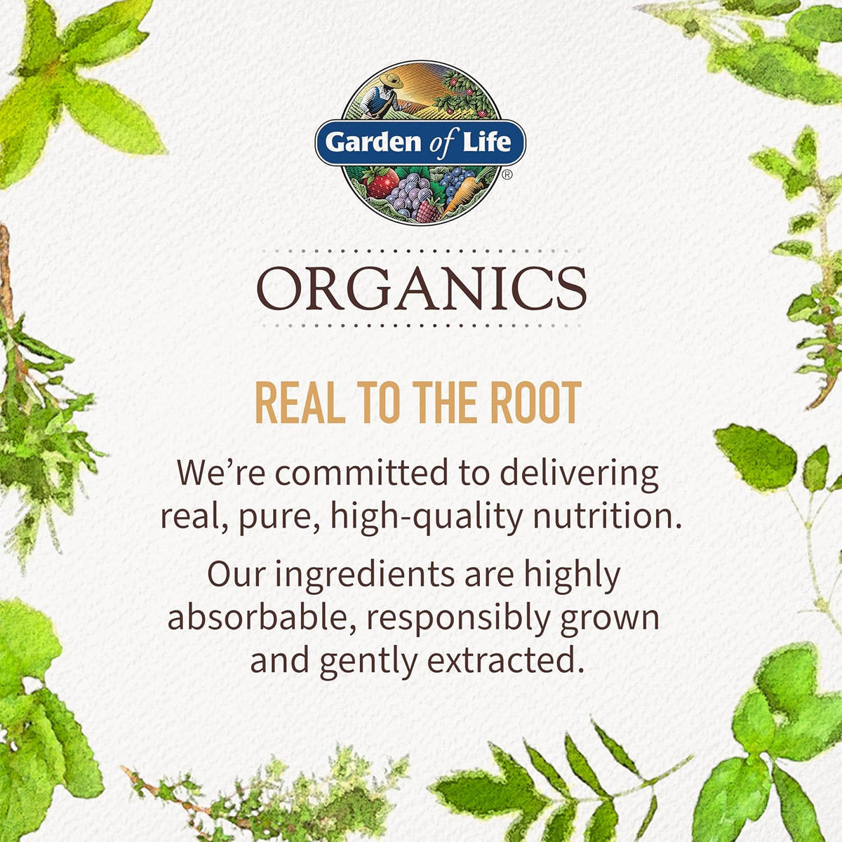 Garden of Life, Organics, Organic Maca Root Powder