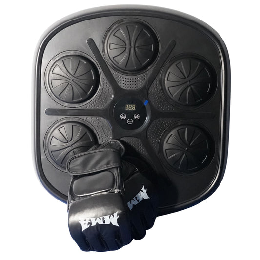 Boxing Target with Gloves