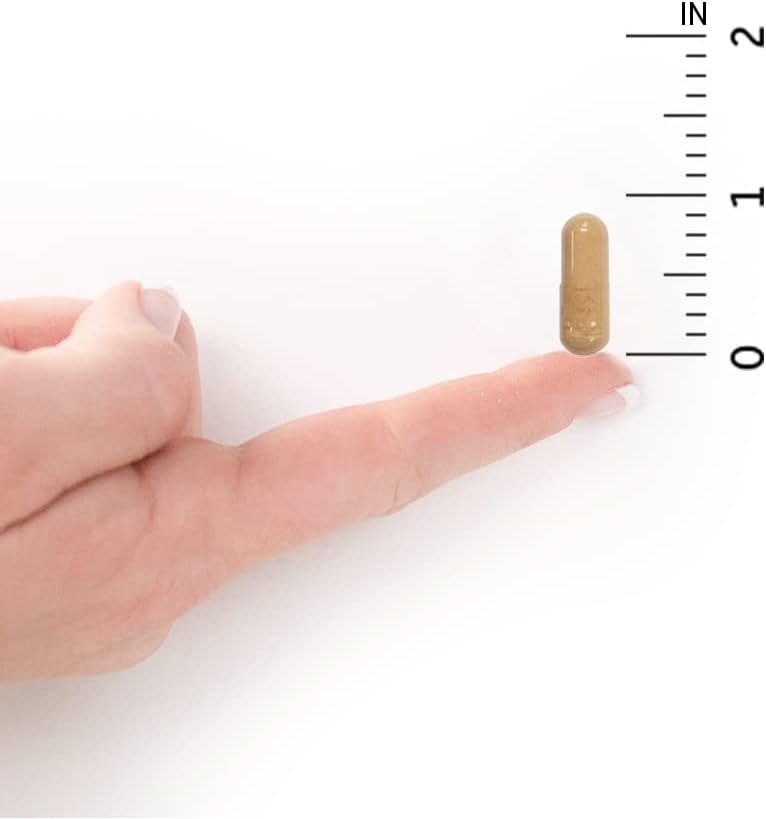 GOL Raw Probiotic Vaginal Care