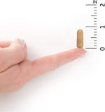 GOL Raw Probiotic Vaginal Care