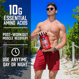 BSN Syntha 6 Whey Protein Powder - 5lb