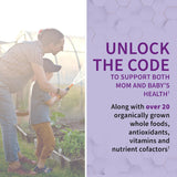 GOL Vitamin Code Raw Prenatal 90veg caps
