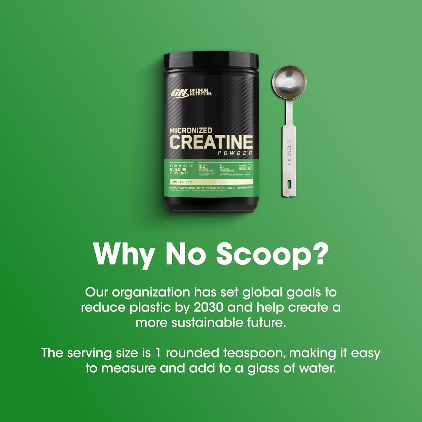 ON Creatine Monohydrate Powder