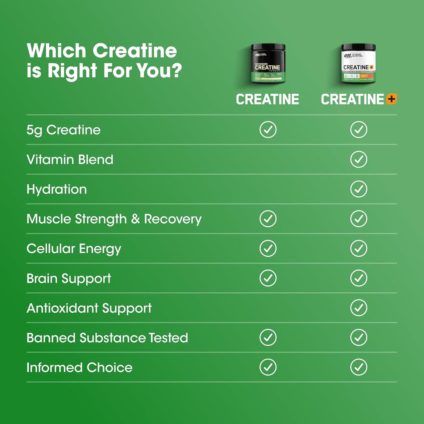 ON Creatine Monohydrate Powder