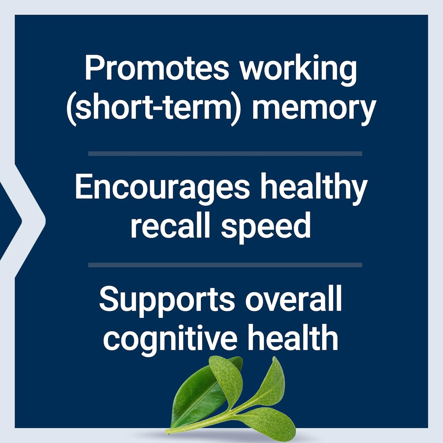 Life Extension Neuro-Mag Magnesium L-Threonate Tropical Punch