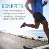 Garden of Life Code Raw for Men