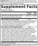 Garden of Life Raw B-12