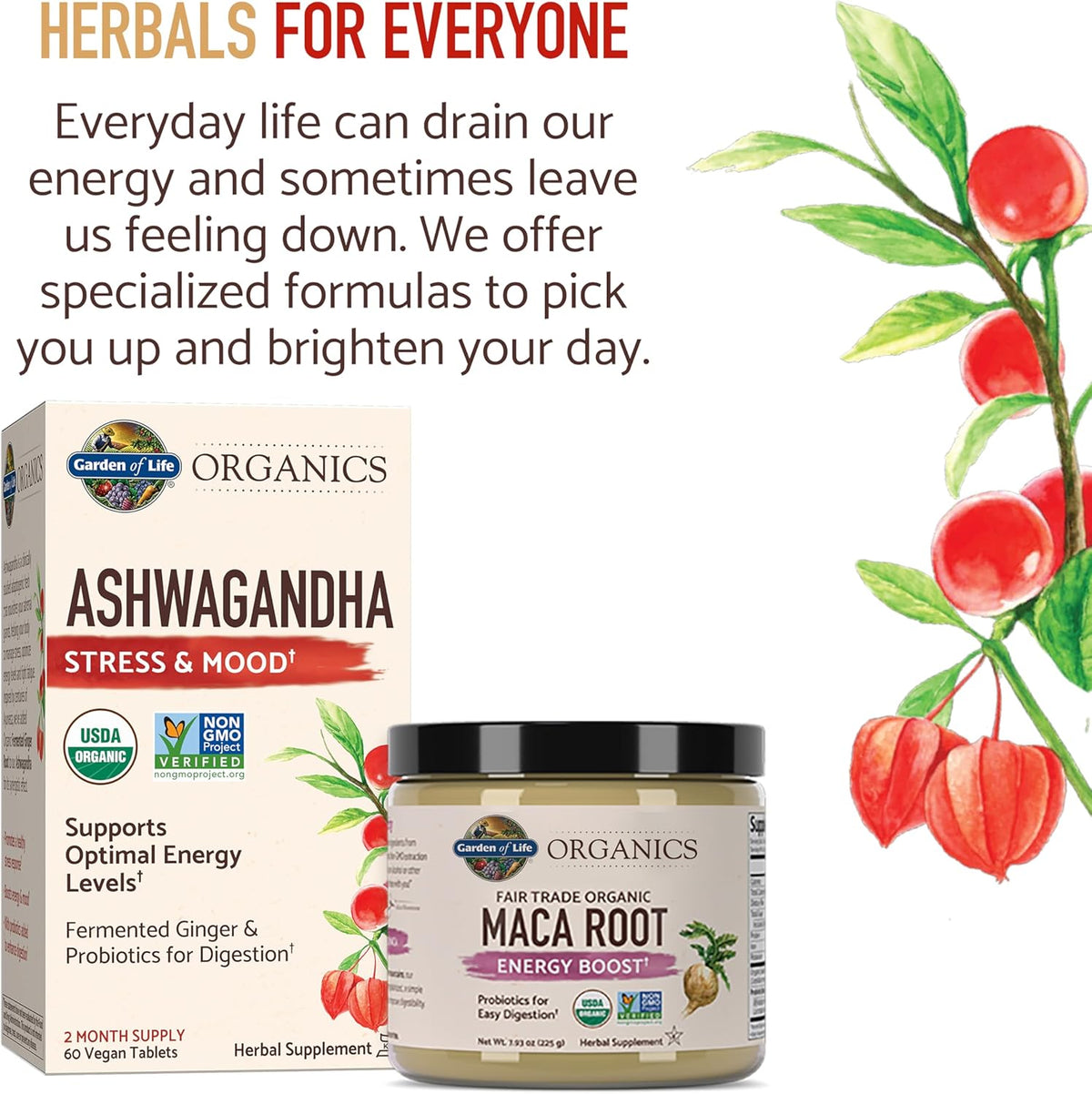 Garden of Life, Organics, Organic Maca Root Powder