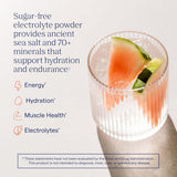 Trace Minerals ZeroLyte Electrolytes & Coconut Water
