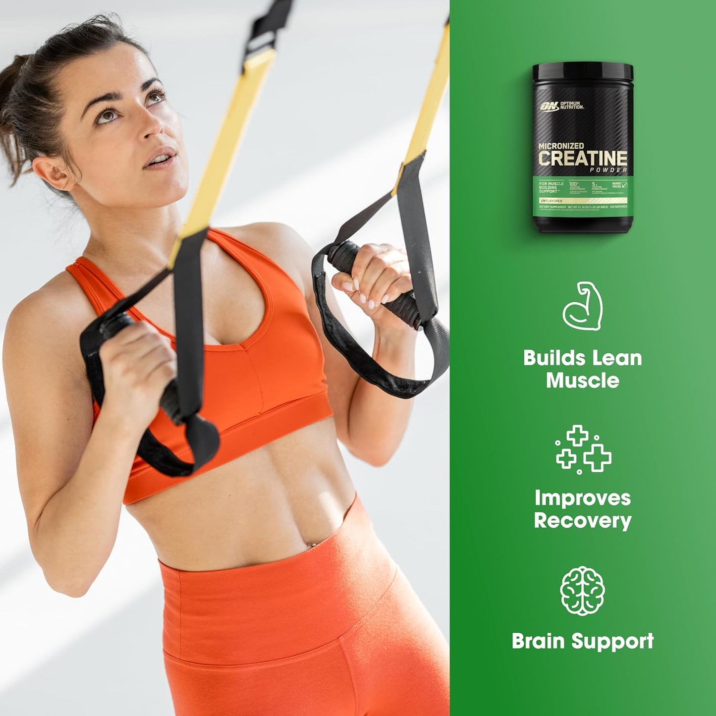 ON Creatine Monohydrate Powder