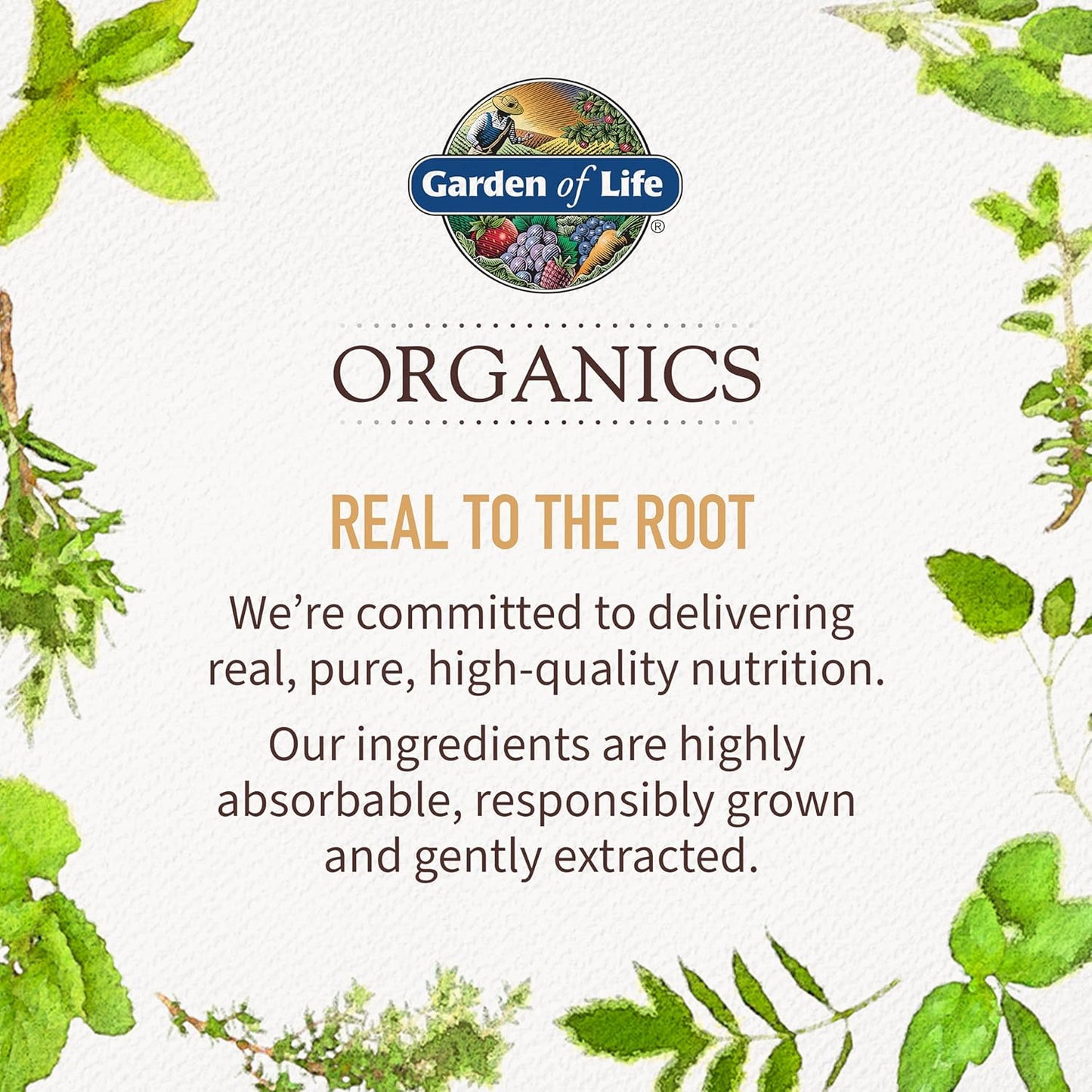 GOL Organics Men's Multivitamin