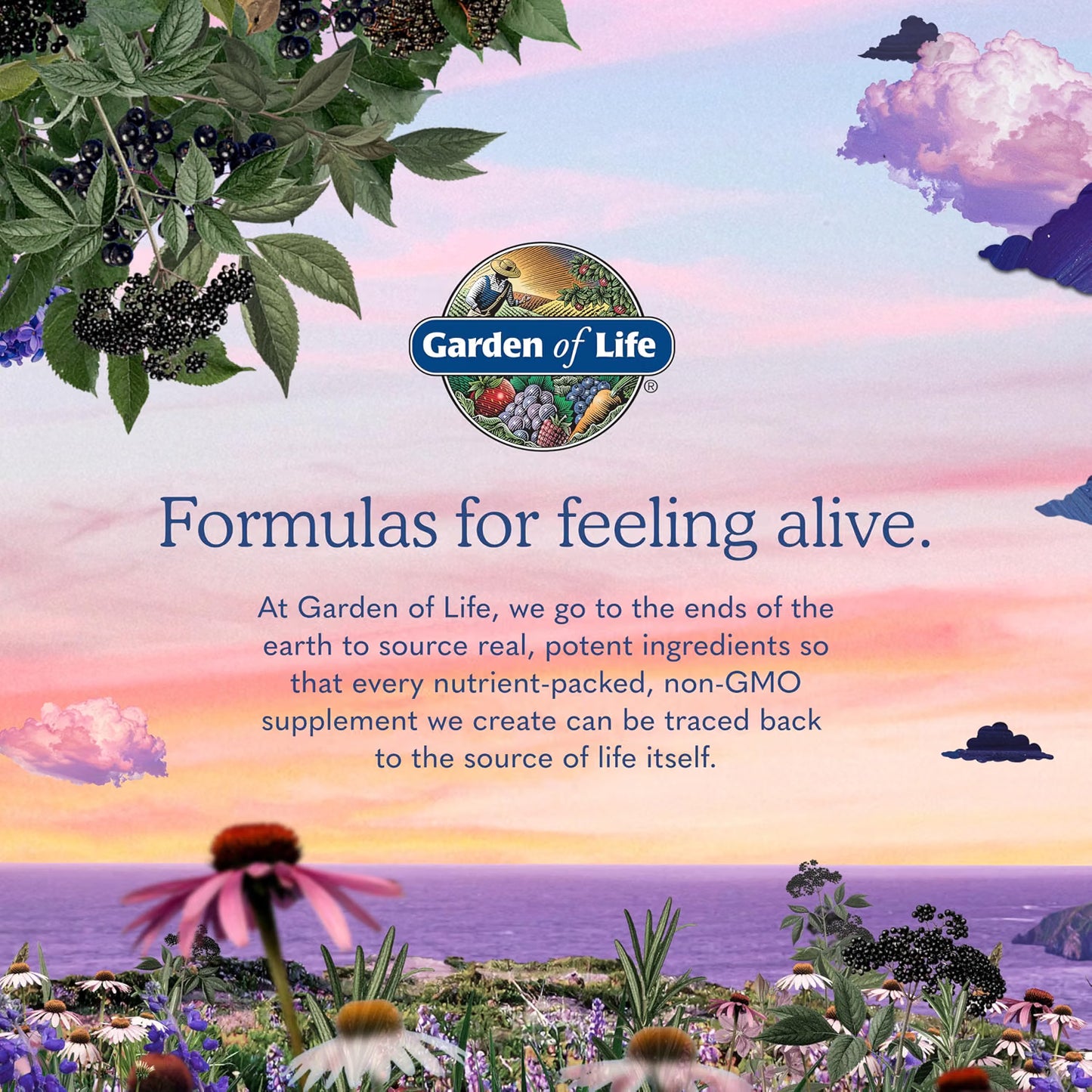 Garden of Life Dr. Formulated Organic Kids+ Probiotics 30ct