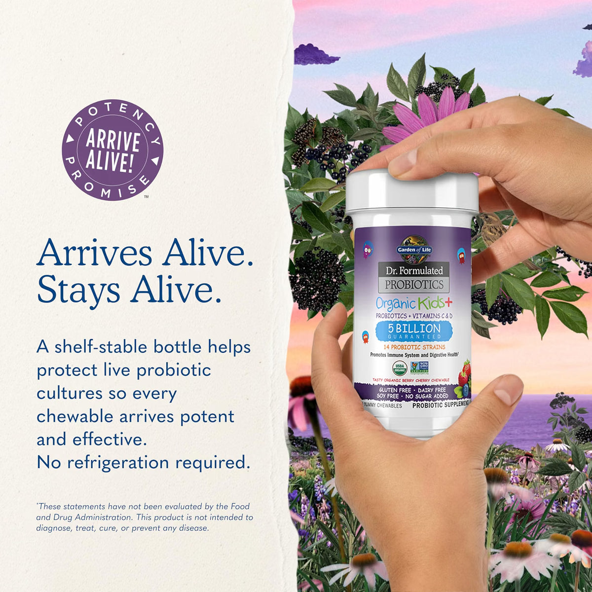 Garden of Life Dr. Formulated Organic Kids+ Probiotics 30ct