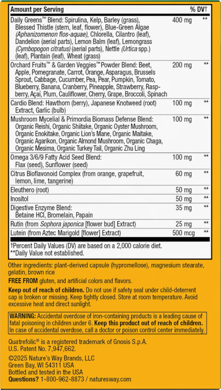 Nature's Way Alive Max 6 Potency Adult Multi Vitamin