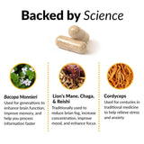 Force Factor Forebrain Focus