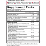 Force Factor Forebrain Focus