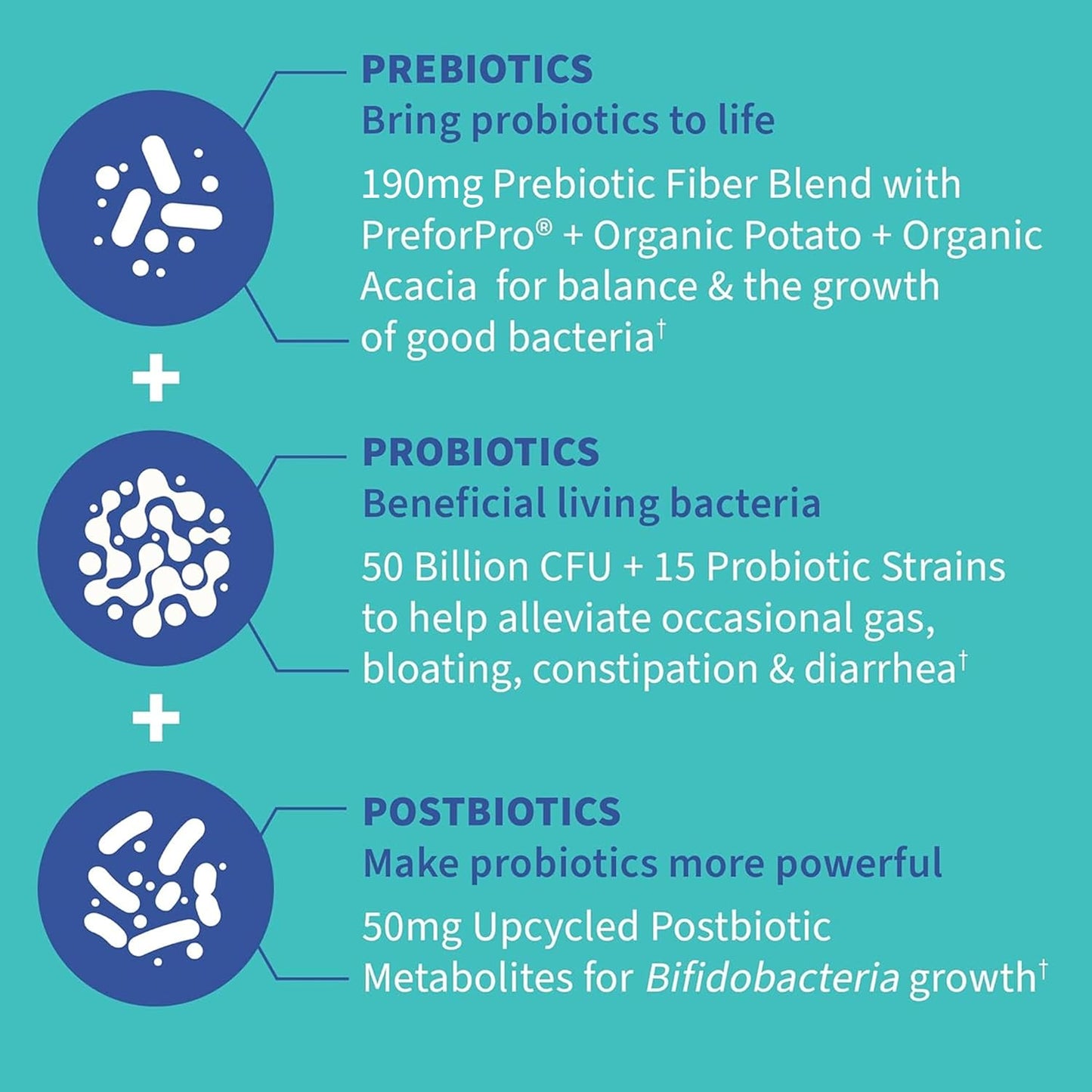 Garden Of LIfe  Dr. Formulated Probiotics Gas & Bloating 30caps