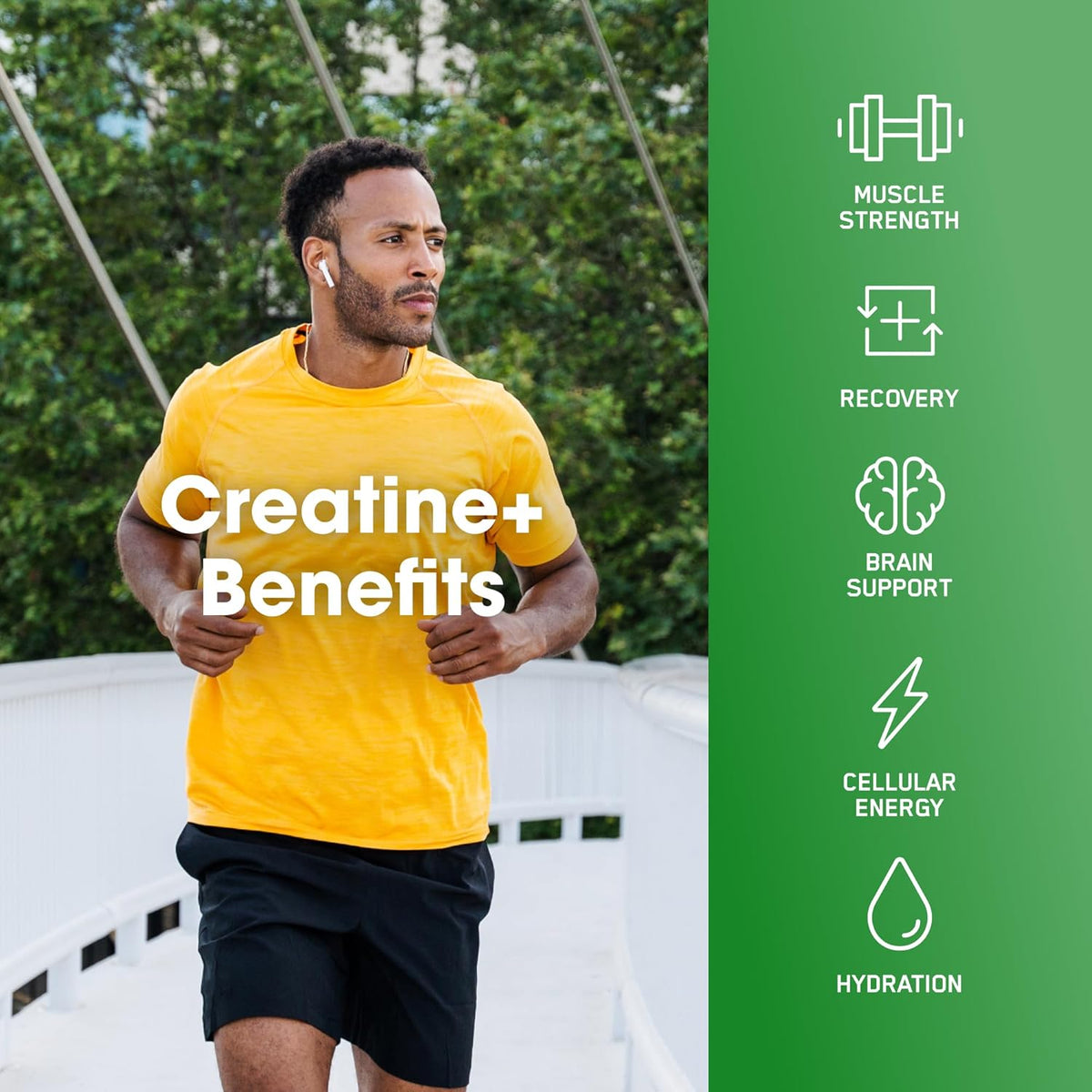 ON Creatine Plus 40svg