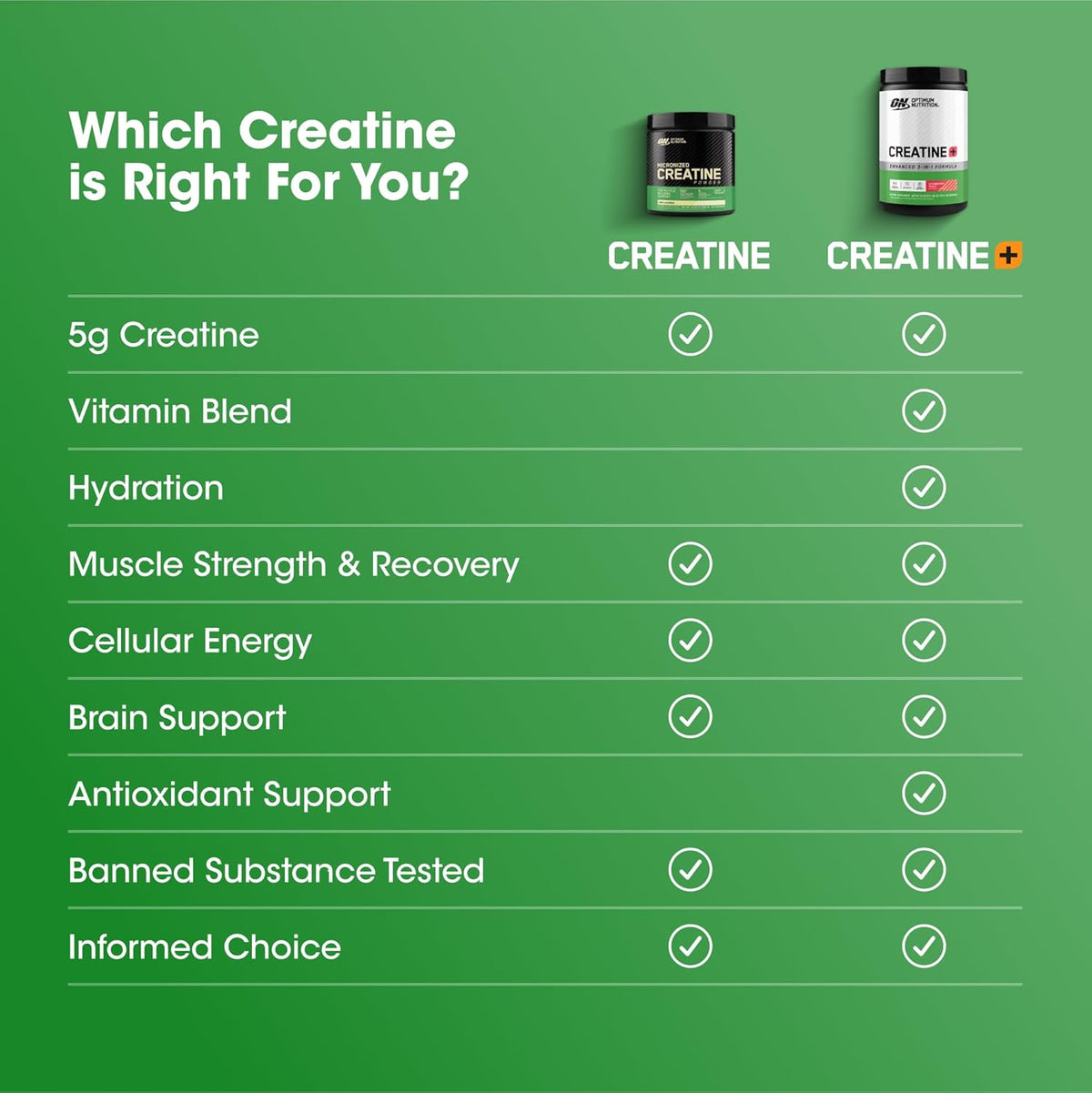 ON Creatine Plus 40svg