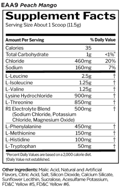 Rule One Essentials Amino 9 Powder 30 servings