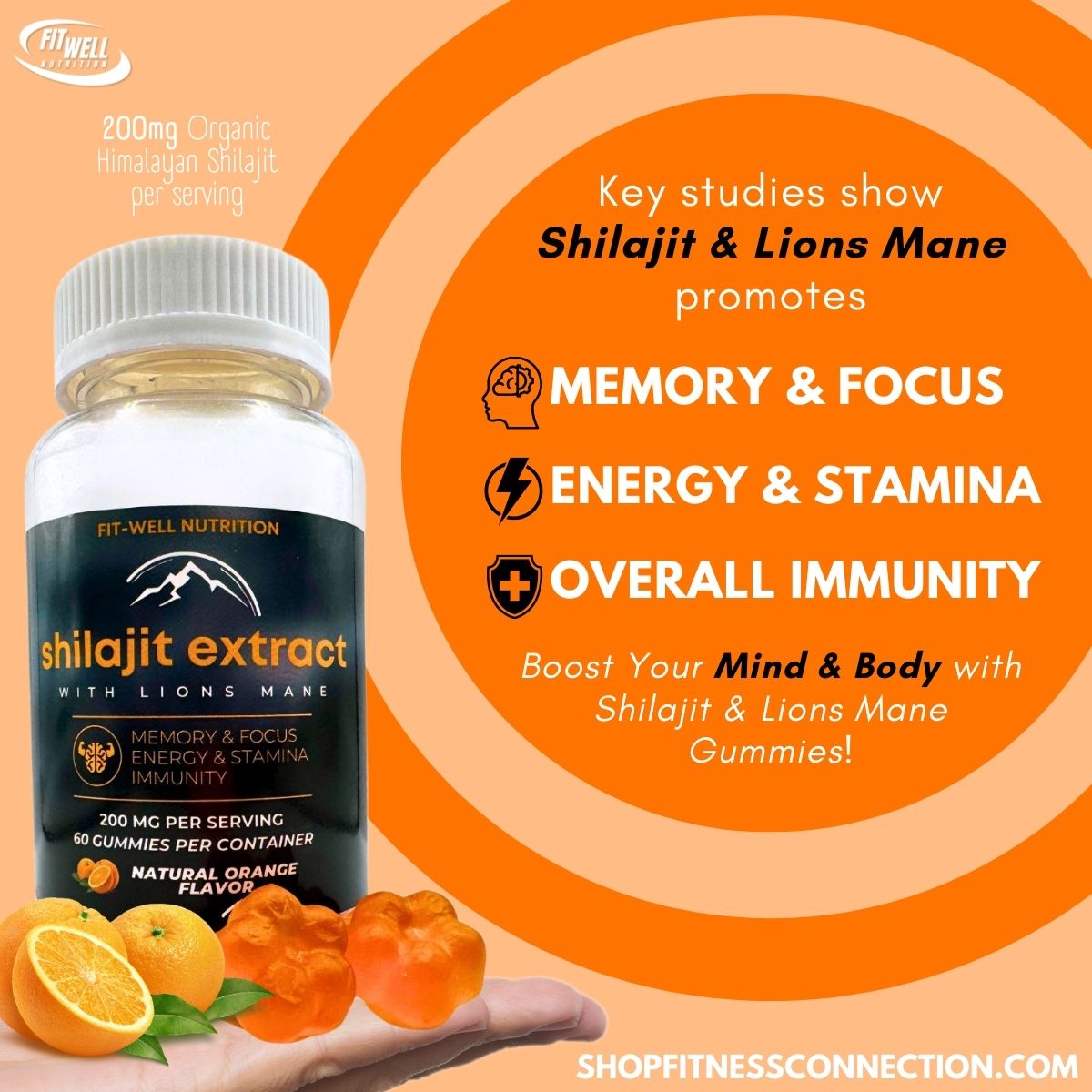 Fit-Well Shilajit Extract w/ Lions Mane 200mg 60ct