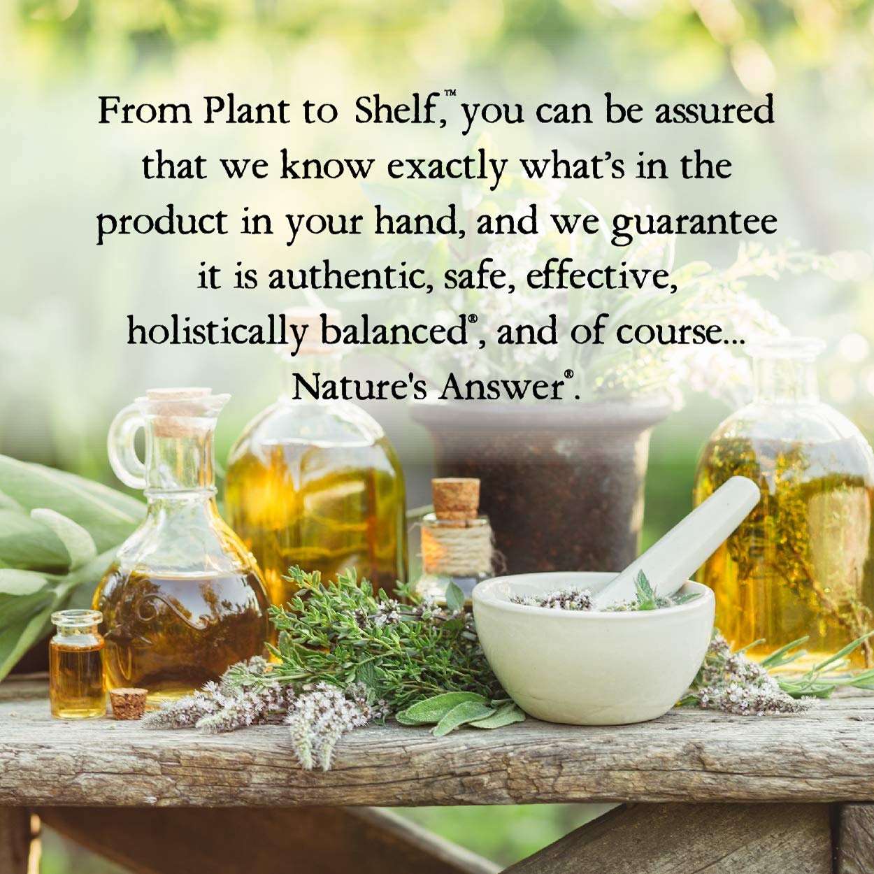 Nature's Answer Black Walnut & Wormwood Complete