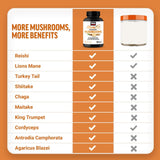 Force Factor Modern Mushrooms 90ct