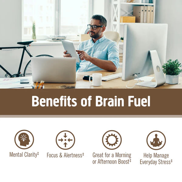 OM Brain Fuel 90 Caps