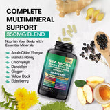 Sea Moss, Black Seed Oil, Ashwagandha, Ginger Pills 19,445 mg, 60ct