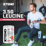 Xtend Bcaa 30sv and 90sv