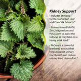 Irwin Naturals|| Kidney Liver 2 in 1 Super Cleanse||60ct
