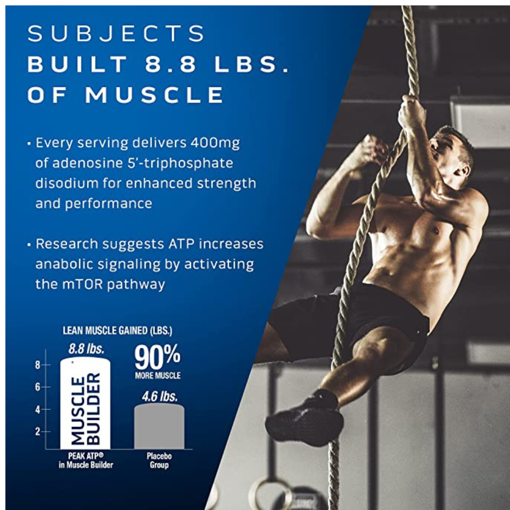 Muscle Tech Platinum Muscle Builder|| 30 rapid release caps