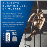 Muscle Tech Platinum Muscle Builder|| 30 rapid release caps