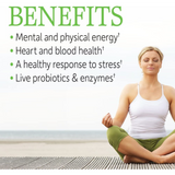 Garden of Life Raw B Complex - Vitamin Code - 60 Vegan Capsules,