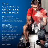 Muscle Tech Cell Tech Creatine